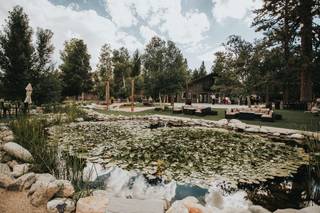 Shay Meadows Ranch and Resort - 7