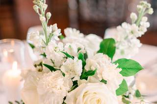 Bloom Culture Flowers - 25