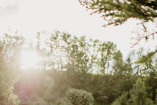 Montana Wildflower Weddings - 34