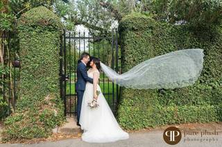 Pure Plush Photography - 35