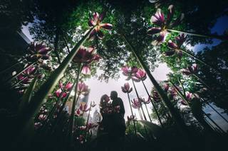 Emin Wedding Photography - 6