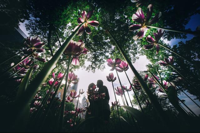 Emin Wedding Photography - 2