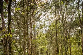Kayla Kelley Photography - 6