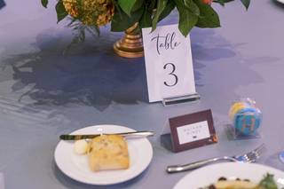 Lisa Pleasant Events - 33