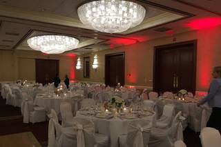 DoubleTree by Hilton Lisle Naperville - 5