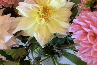 BRAMBLE + BLOOM - 10