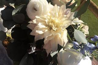 Orsetta Events - 35