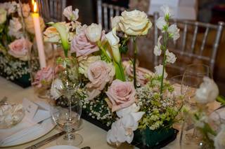 Stellar Style Events - 6