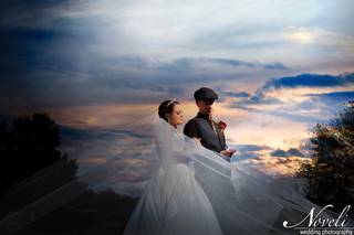 The Poinsett Bride - 11