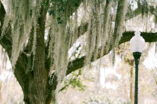 Molliner Photography - 10