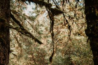 Becoming Images - 35
