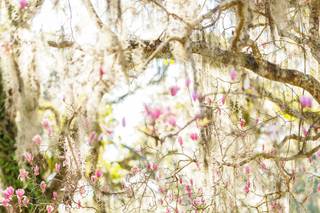 Brittany Morgan Photography - 61