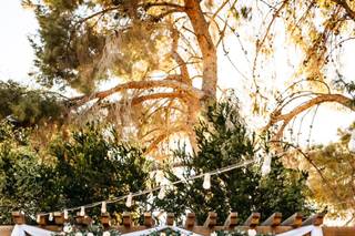 Weddings at Schnepf Farms - 103