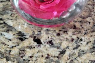 Bucks County Roses - 34