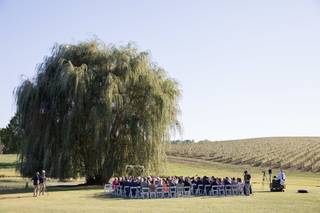 Trump Winery - 48