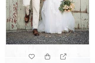 Courtland Photography - 29