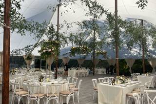Dhalia Events - 14