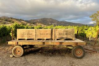 Zaca Mesa Winery - 12