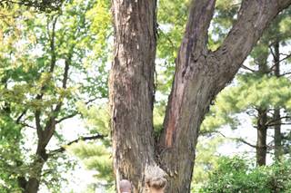 Sarah Ellen Photography - 7