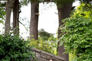Cassondre Mae Photography - 120