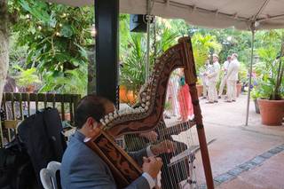 The Best Harp Serenade - 12