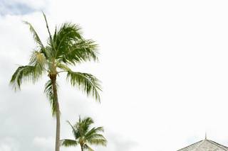 Shoreline Destinations - 7