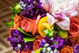 Echelon Florist - 37