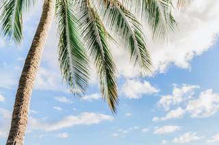 Anna Kim Photography - 54