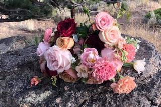 A florae - 43