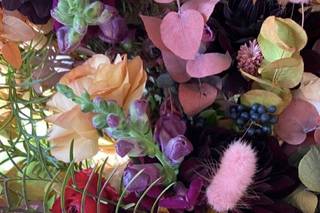 Daydream Floral - 58
