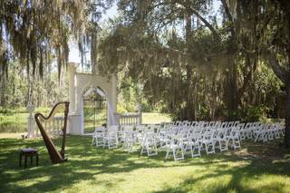 Photo Harp Weddings - 45