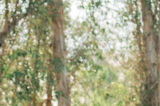 Kind Hearted Images - 19