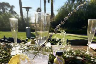 Dandelion Wishes Event Planning - 11