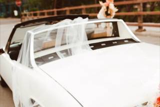 Stephanie S. Weddings - 5