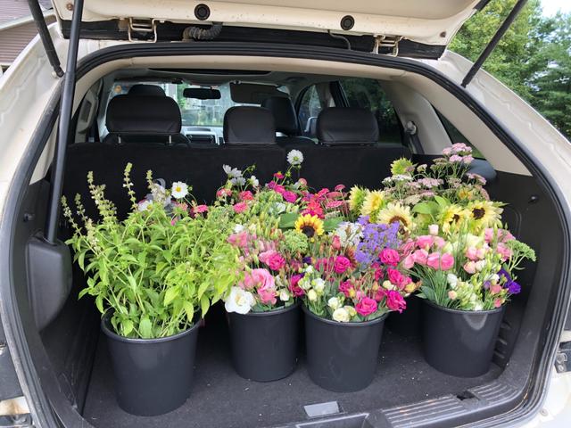 Kreeger Farms Flowers - 4