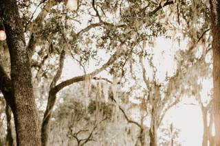 Wedding Officiants of Tampa Bay - 8