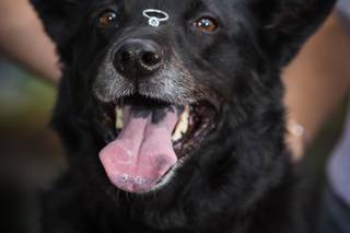 Liz Scavilla Photography - 10