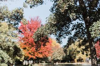 Ashley Susan Photography - 6