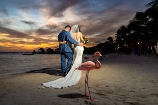 Winklaar Photography Aruba - 7