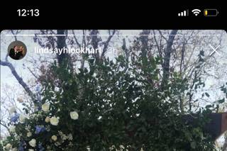 Teri's Floral - 110