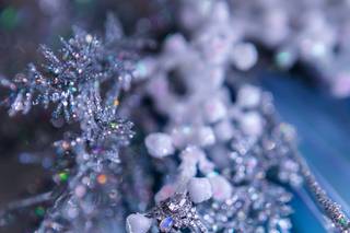 Lana Hollins Photography & Art - 17