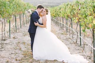Dove Ridge Vineyard - 72