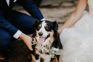 jh Events and Flowers - 11