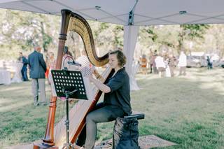 Ashlyn Wrobleski, Professional Harpist - 6