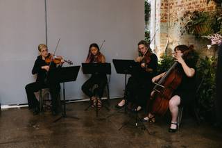 Tribute String Quartet - 11