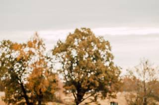 Christen Jones Photography - 8