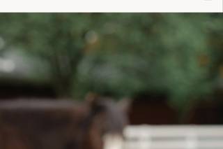 Thomas Farm Weddings & Events - 18
