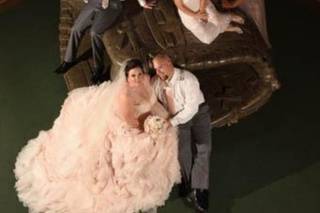Patricia Longmire Photography - 9