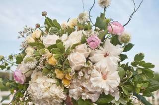 Rose Avenue Floral - 29