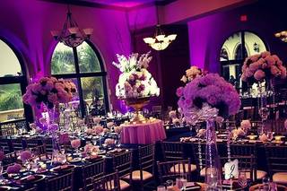DiBOX events - 41